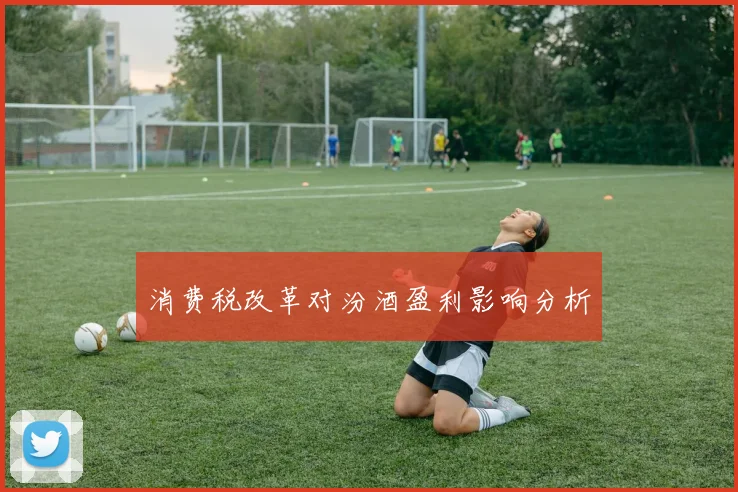 消费税改革对汾酒盈利影响分析