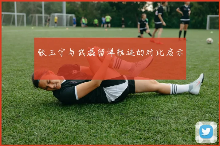 张玉宁与武磊留洋轨迹的对比启示